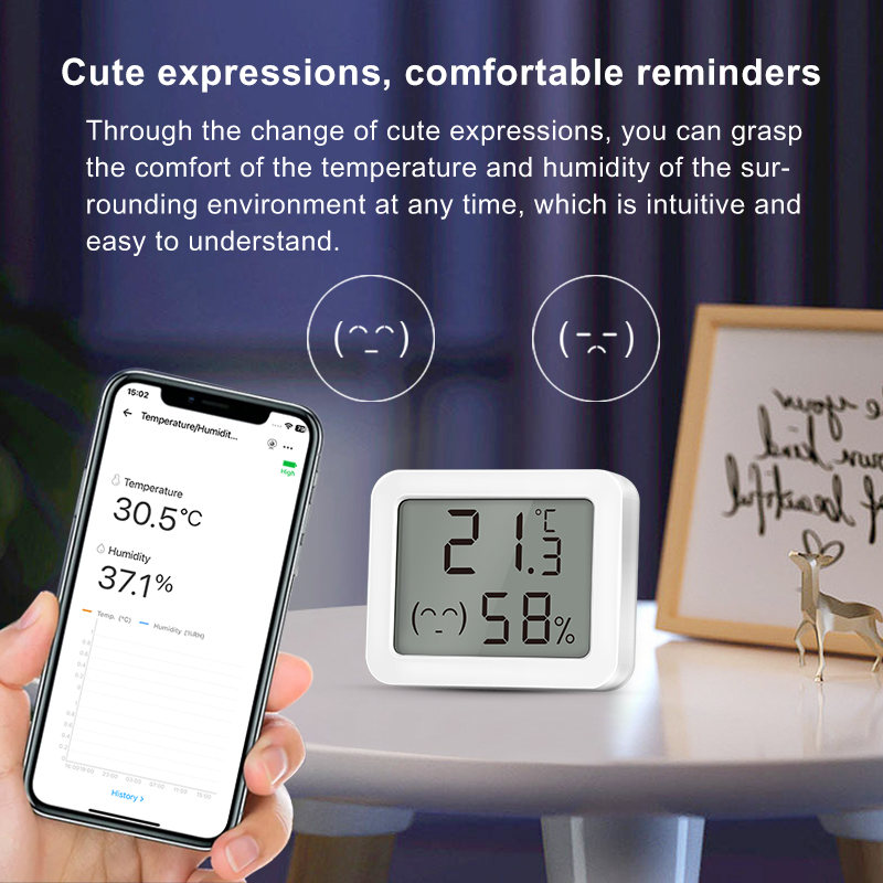 Ewelink Zigbee3.0 อุณหภูมิและค - Home Cinema Alexa บทวิจารณ์และราคา